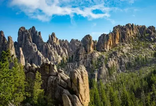the-needles-granite-spires-black-hills-south-dakota-usa-1