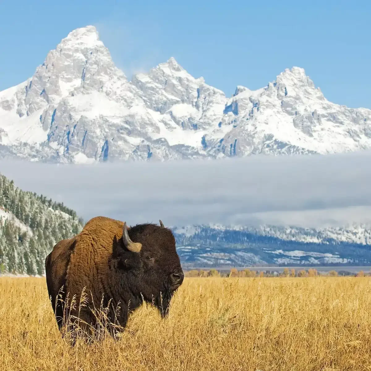 National Parks Wonders Guided Tour 6