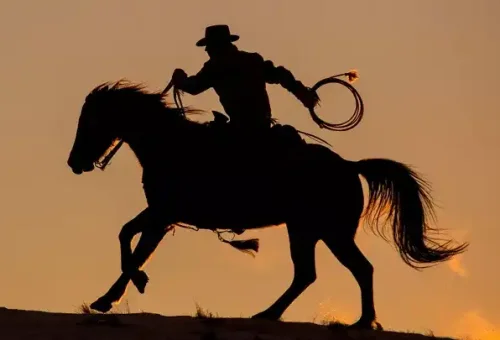cowboy-and-horse-cody-wyoming-usa-1