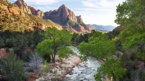 River Mountains Zion National Park Usa 1 (1)