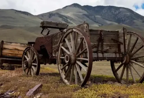 challis-wagon-jackson-usa-1