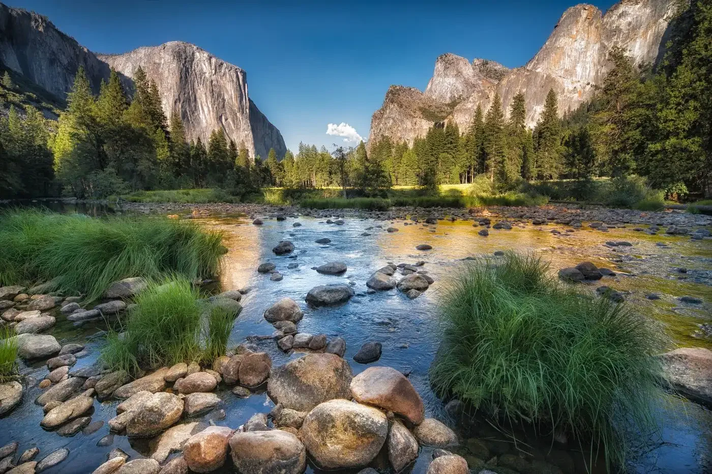 Shutterstock_CA12