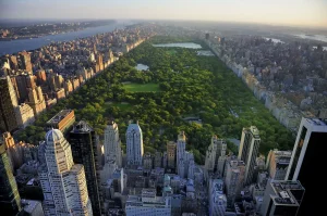Shutterstock_NY13
