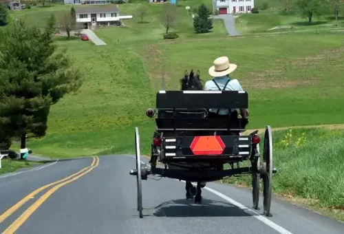 man-horse-cart-lancaster-county-usa-1