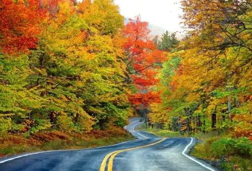 autumn-colours-white-mountain-usa-tt-1