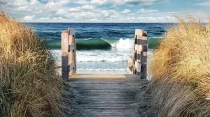 Boardwalk Beach Halifax Canada 1