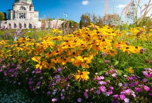 best-eastern-canada-guided-tour-7
