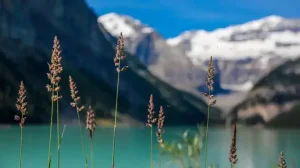 Lake Louise Banff Canada 1