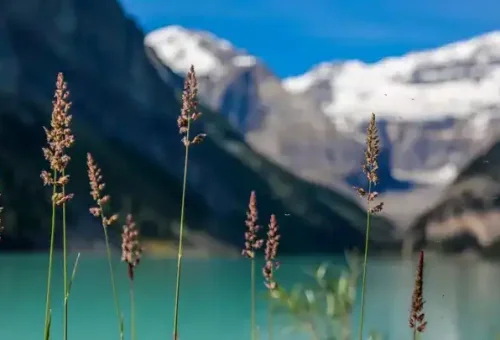 lake-louise-banff-canada-1