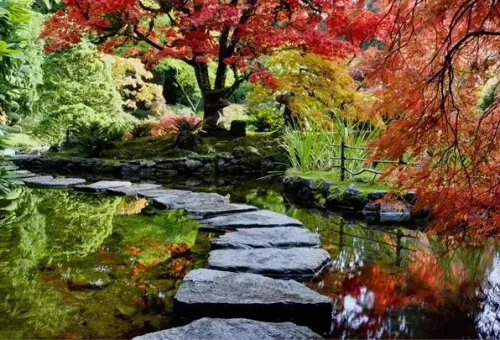 stepping-stones-lake-victoria-canada-9