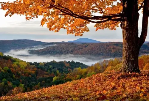 view-vermont-usa