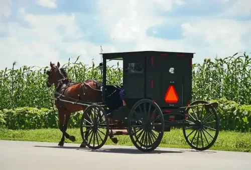 learn-about-amish-traditions-plain-fancy-farm-lancaster-usa