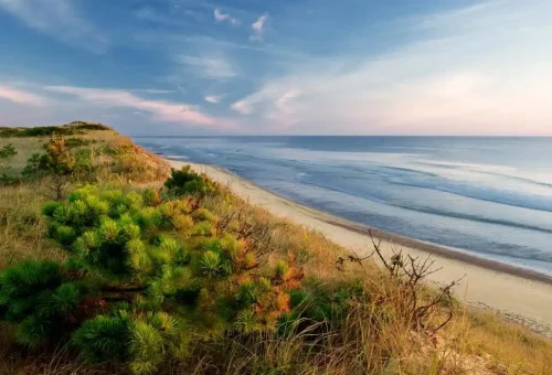 Cape Cod