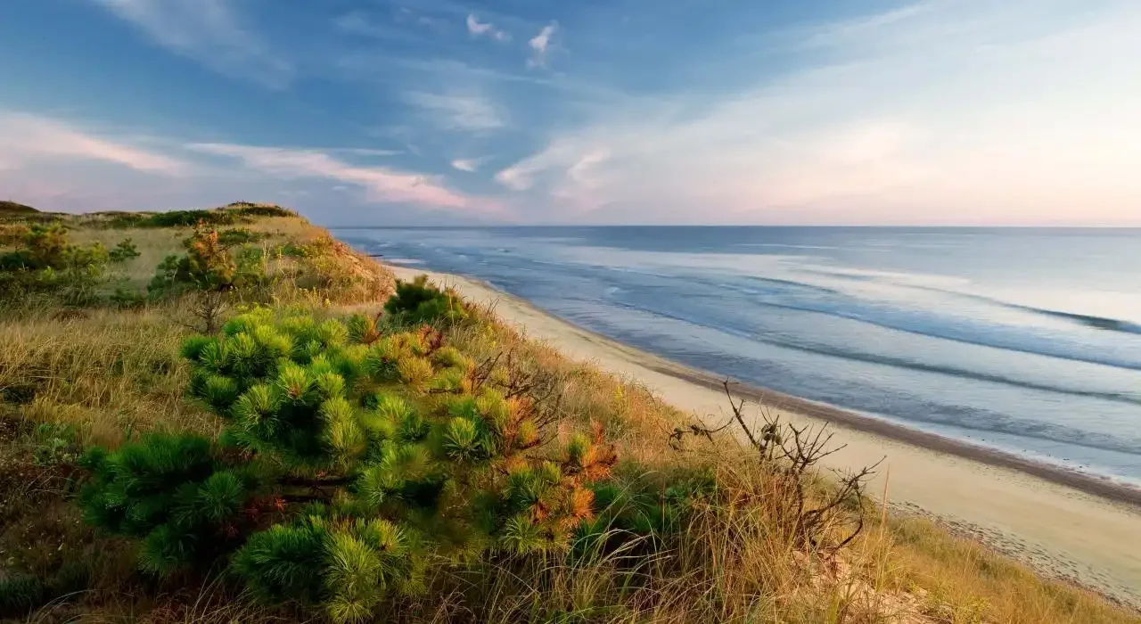 Cape Cod
