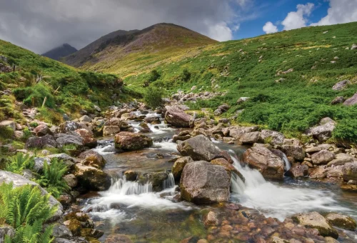 IRS_23_banner