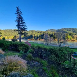 Rogue River