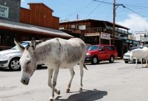 Oatman