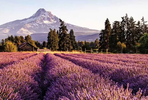 Hood River