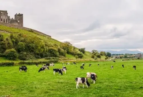 Rock-of-cashel-ireland