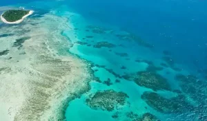 Great Barrier Reef Cairns Australia
