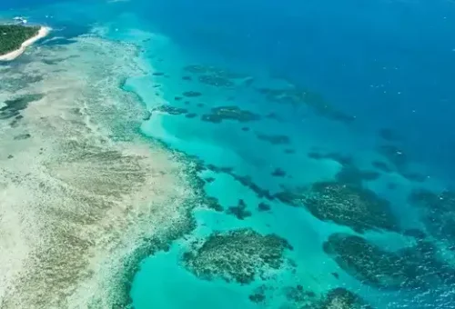 great-barrier-reef-cairns-australia