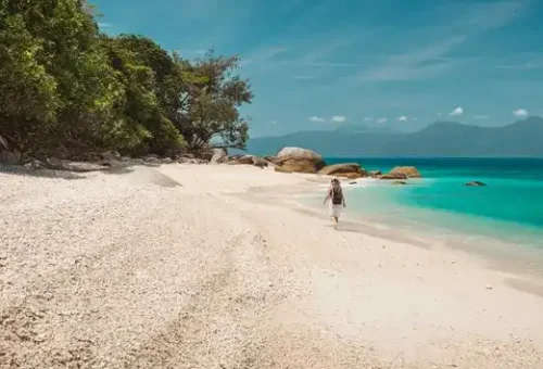 barrier-reef-cairns-australia-6
