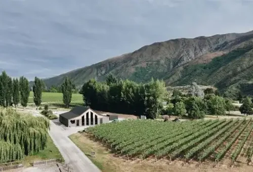 wine-experience-kinross-gibbston-valley-new-zealand-cellar-door-1