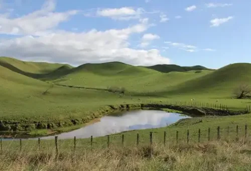wellington-to-hawkes-bay-new-zealand-8