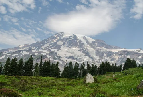 Mt. Rainier