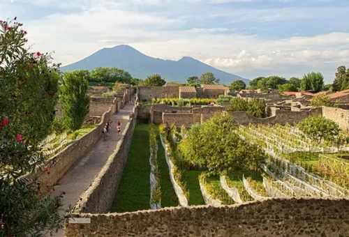 vineyard-pompeii-italy-2