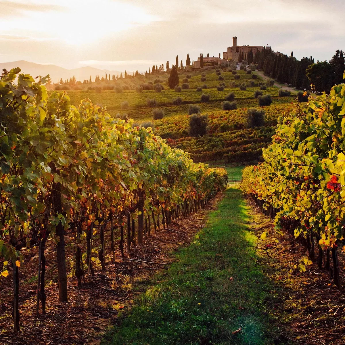 Rome Tuscan Highlights Guided Tour 2
