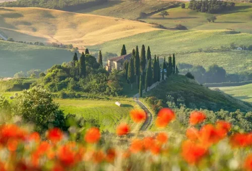 view-fields-tuscany-italy-2
