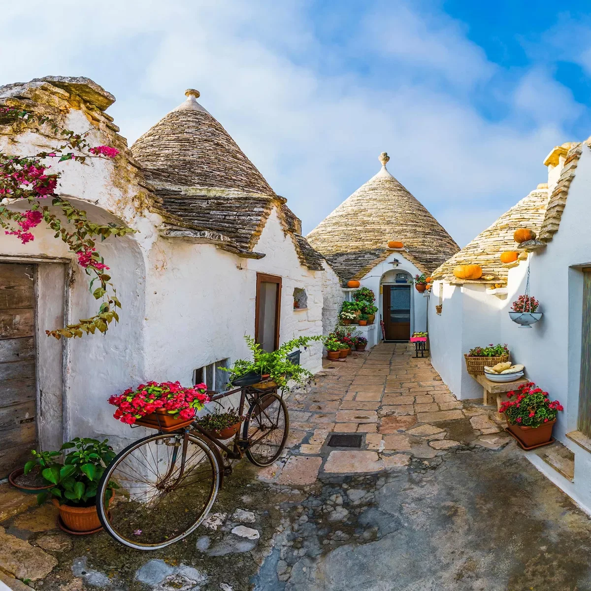 Grand Italian Experience Guided Tour 1