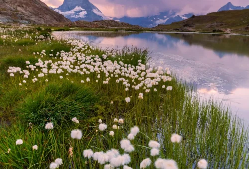 switzerland-austria-guided-tour-1
