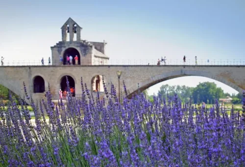 pont-d-avignon-avignon-france-3 (1)