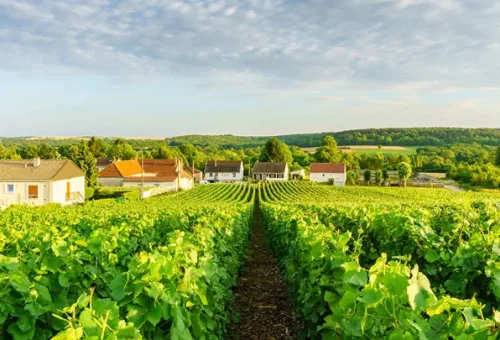 montagne-de-reims-countryside-village-reims-france-1