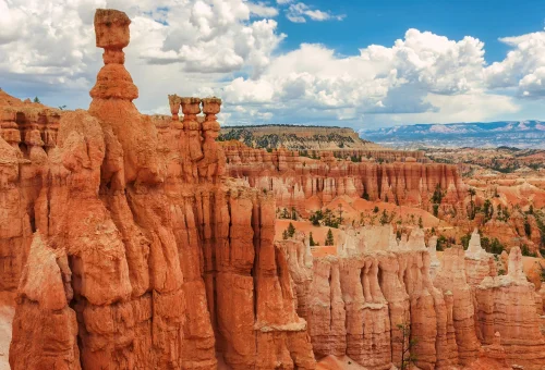 Bryce National Park