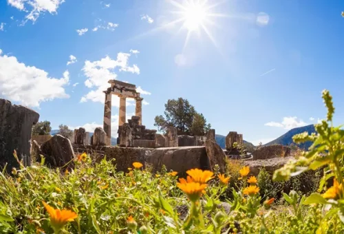 athena-pronaia-delphi-greece-5