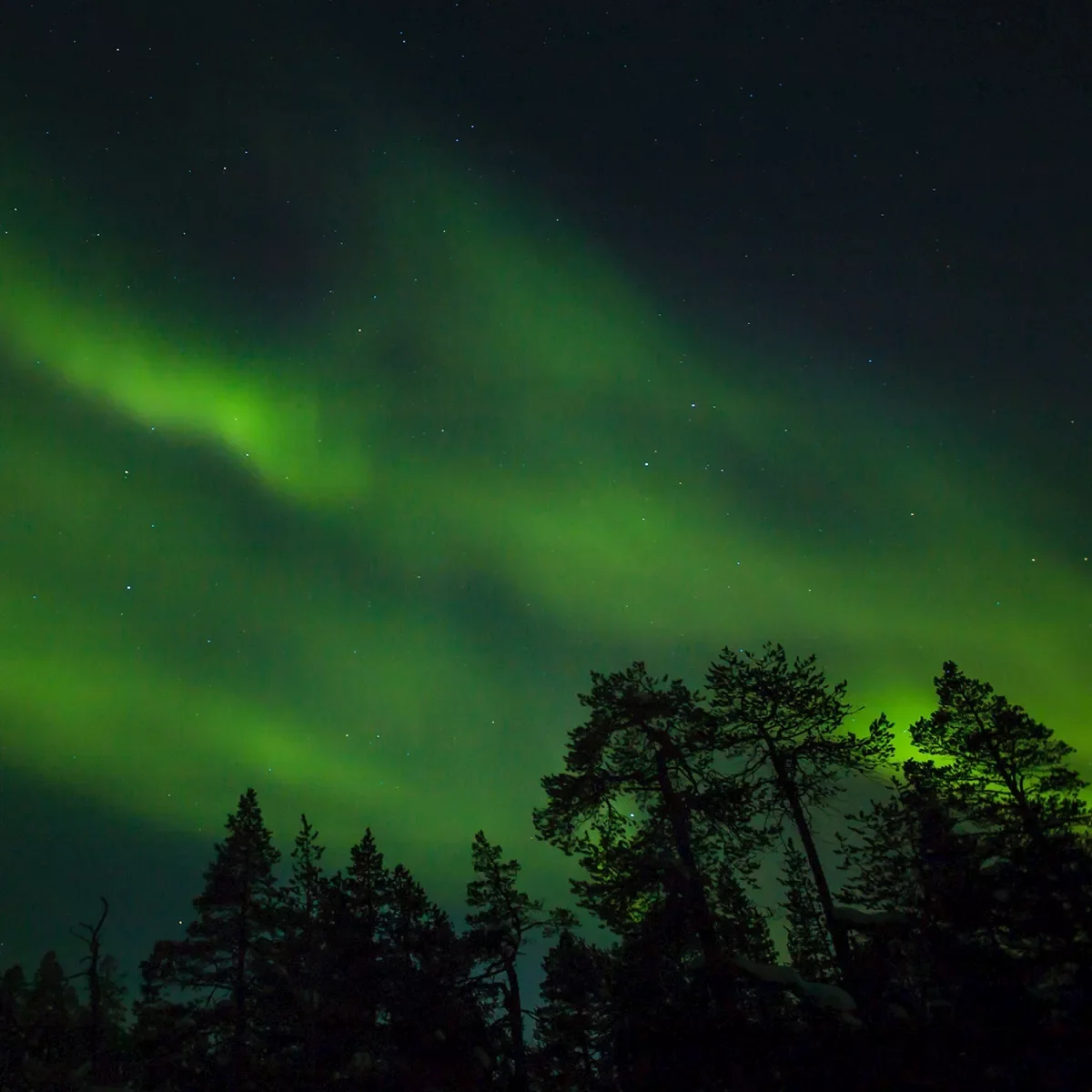 Scandinavian Northern Lights Guided Tour 1