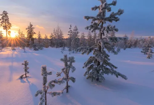visit-rovaniemi-finland-1