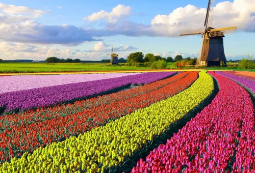 best-holland-guided-tour-2