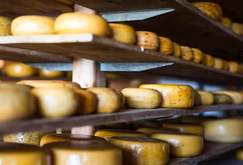 cheese-heads-volendam-netherlands-2
