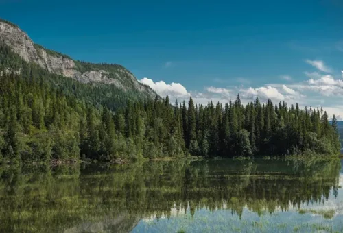 saltfjellet-svartisen-national-park-nordland-county-norway-1 (1)