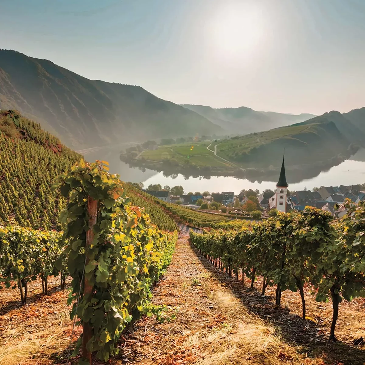 Best Germany Austria Guided Tour 2