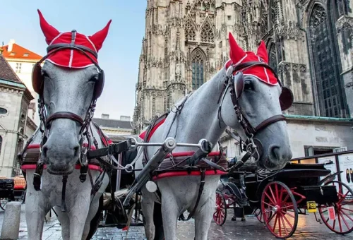 horse-drawn-carriage-vienna-austria-5