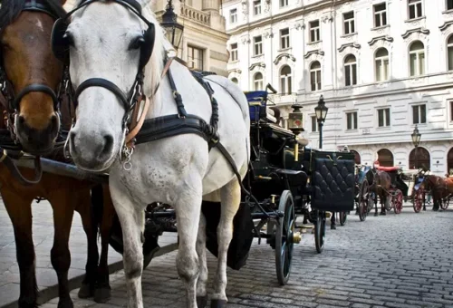 horse-drawn-carriage-vienna-austria-1