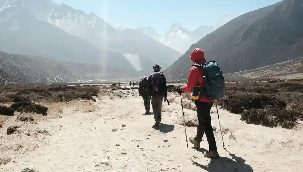 xF0NxKCHStbEjBcesbbN06ADMCy095P5tvNMFUXg