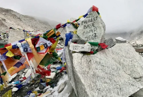 X7dYzbhcN1PiHDcc6gvGAbC8lqgVg1Xoq3K7UbdR