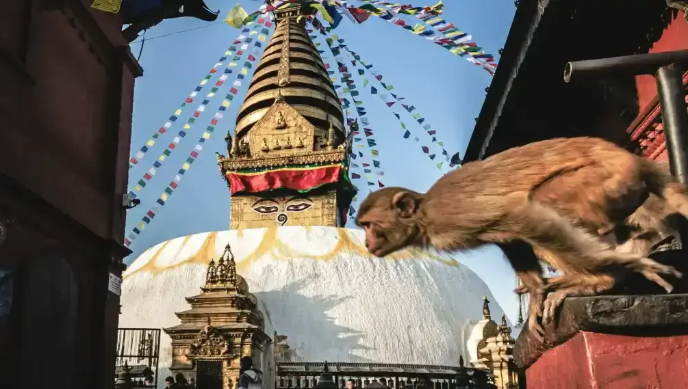 B5h9PryHU2wlRUVn9d6Nn6hpnzCbZnKBK275OHi7