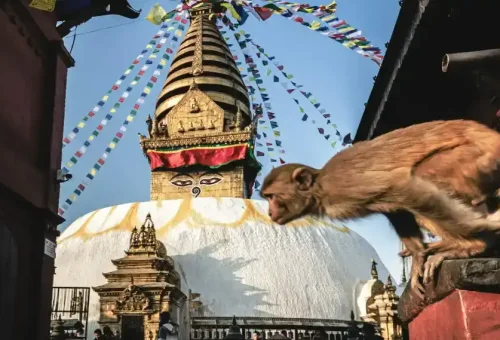 eofcYHcq9cgNPkAIBo6XFmCfDlCO3lGS0t7jHRvp